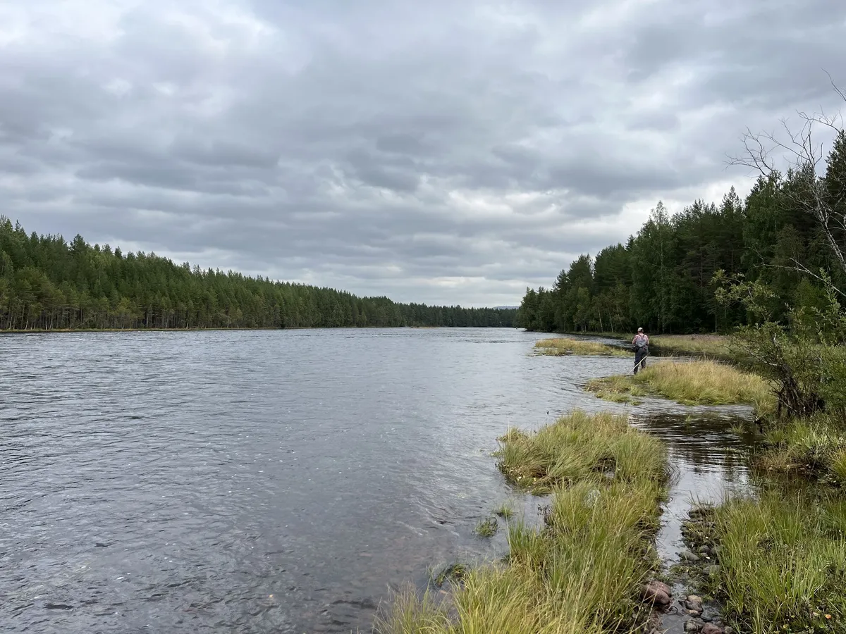 Fiske i älvdalen