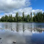 Fiske Paradis
