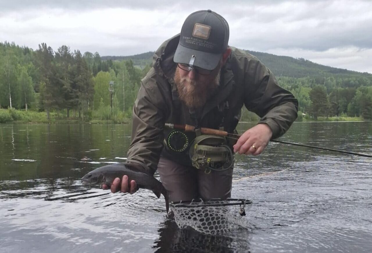 Thor med en Klarälvsharr